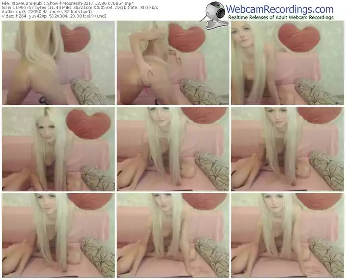 xlovecam-moonfish-webcam-show-12_30_2017-07_09_54