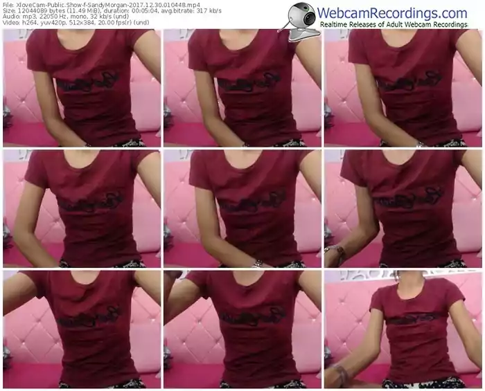 xlovecam-sandymorgan-webcam-show-12_30_2017-01_04_48