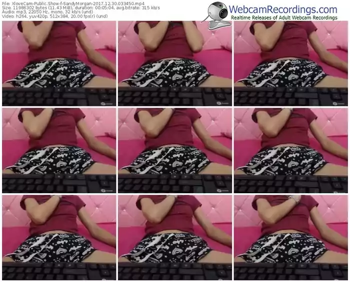 xlovecam-sandymorgan-webcam-show-12_30_2017-03_34_50