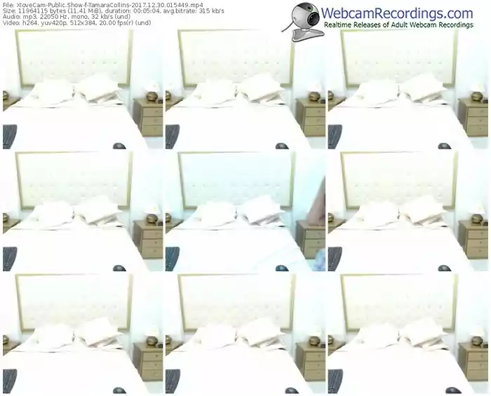 xlovecam-tamaracollins-webcam-show-12_30_2017-01_54_49