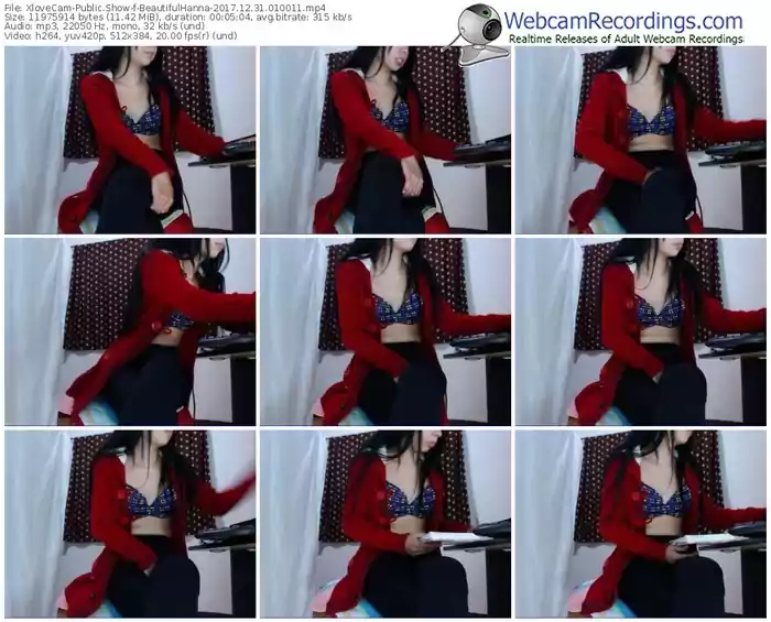 xlovecam-beautifulhanna-webcam-show-12_31_2017-01_00_11