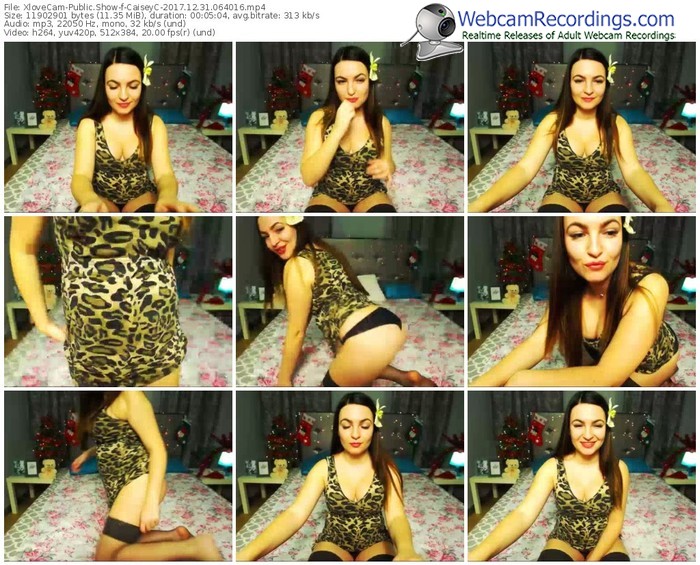 xlovecam-caiseyc-webcam-show-12_31_2017-06_40_16