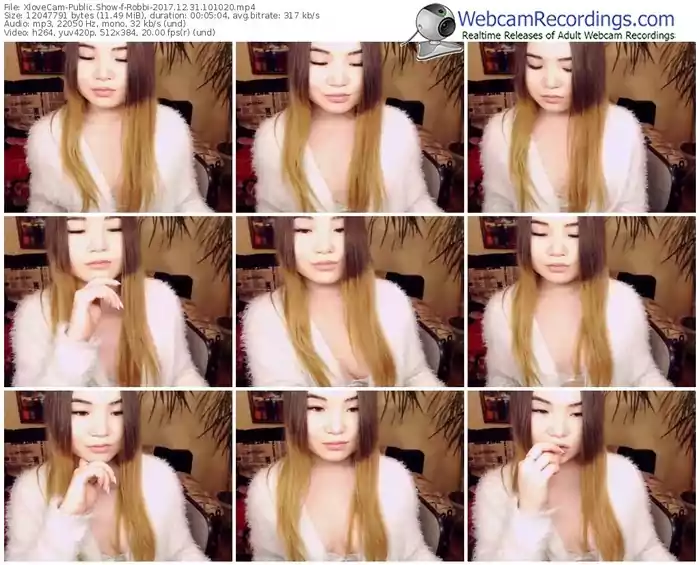 xlovecam-robbi-webcam-show-12_31_2017-10_10_20