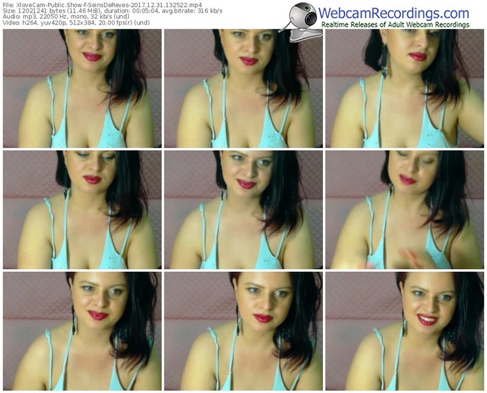 xlovecam-seinsdereves-webcam-show-12_31_2017-13_25_22