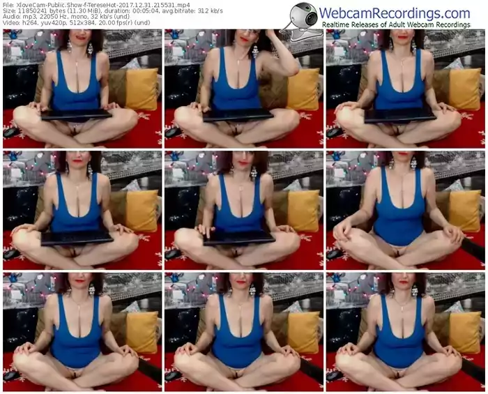xlovecam-teresehot-webcam-show-12_31_2017-21_55_31