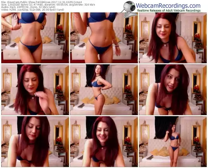 xlovecam-wildalicee-webcam-show-12_31_2017-03_25_13
