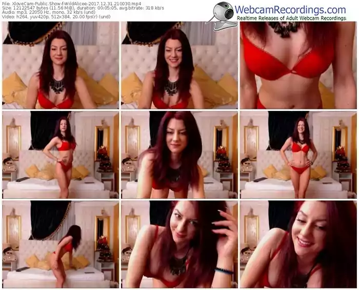 xlovecam-wildalicee-webcam-show-12_31_2017-21_00_30