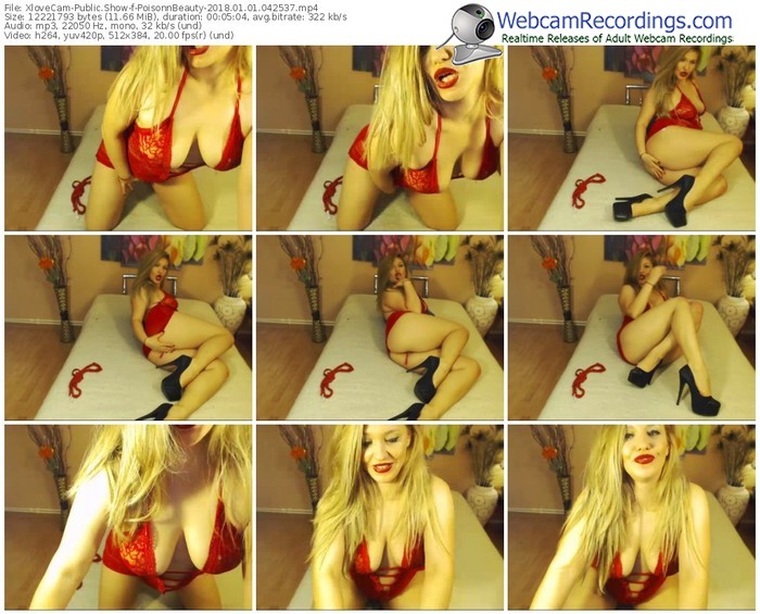xlovecam-poisonnbeauty-webcam-show-01_01_2018-04_25_37