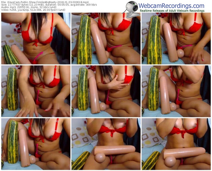 xlovecam-holesbignasty-webcam-show-01_03_2018-00_06_18
