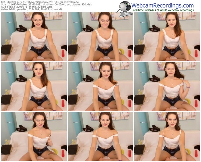 xlovecam-shinyfoxy-webcam-show-01_06_2018-13_37_38