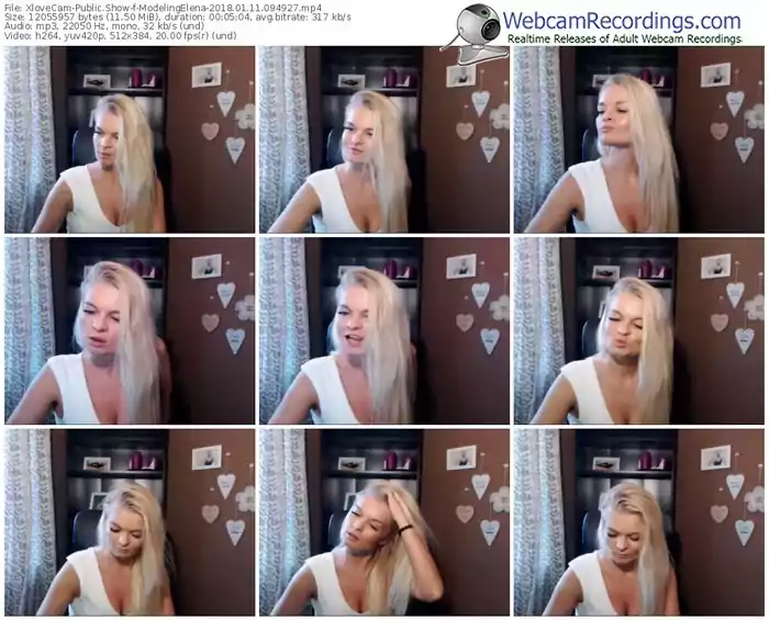 xlovecam-modelingelena-webcam-show-01_11_2018-09_49_27