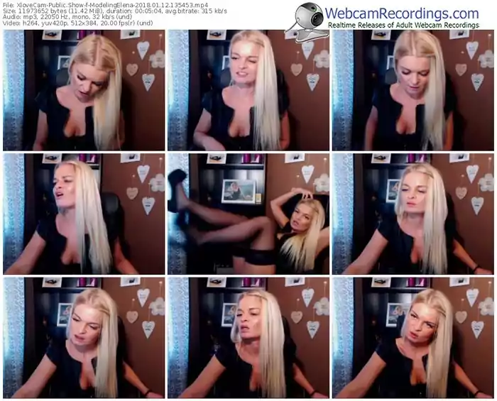 xlovecam-modelingelena-webcam-show-01_12_2018-13_54_53