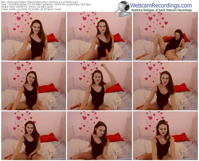 xlovecam-shinyfoxy-webcam-show-01_12_2018-15_44_55
