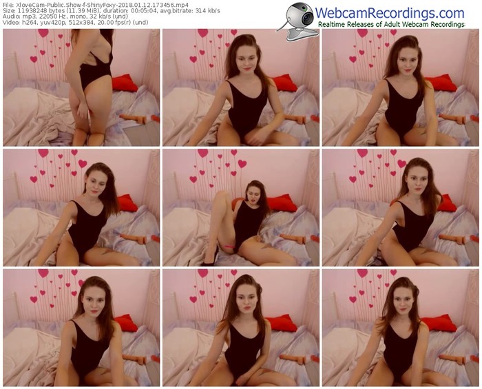 xlovecam-shinyfoxy-webcam-show-01_12_2018-17_34_56