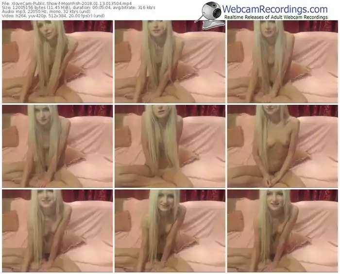 xlovecam-moonfish-webcam-show-01_13_2018-01_35_04