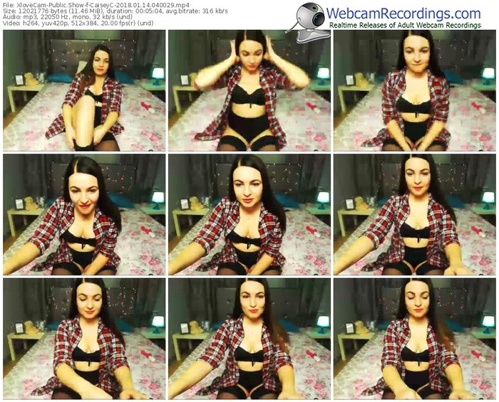 xlovecam-caiseyc-webcam-show-01_14_2018-04_00_29