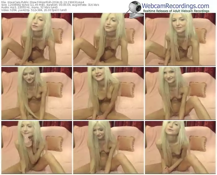 xlovecam-moonfish-webcam-show-01_16_2018-23_06_33