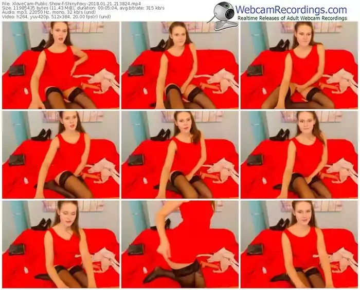 xlovecam-shinyfoxy-webcam-show-01_21_2018-21_38_24