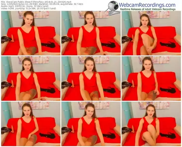 xlovecam-shinyfoxy-webcam-show-01_21_2018-23_43_26