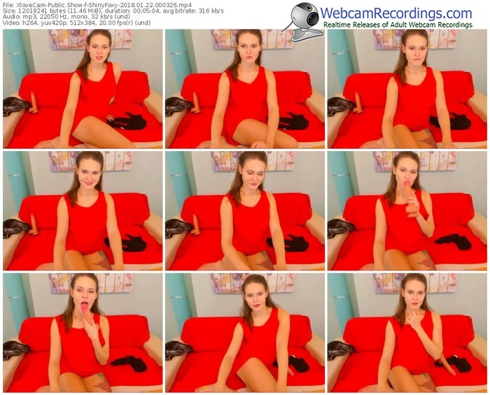 xlovecam-shinyfoxy-webcam-show-01_22_2018-00_03_26