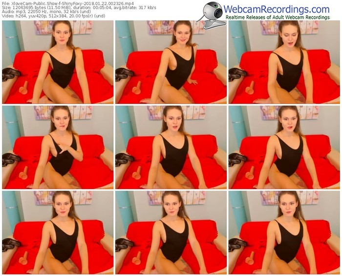 xlovecam-shinyfoxy-webcam-show-01_22_2018-00_23_26