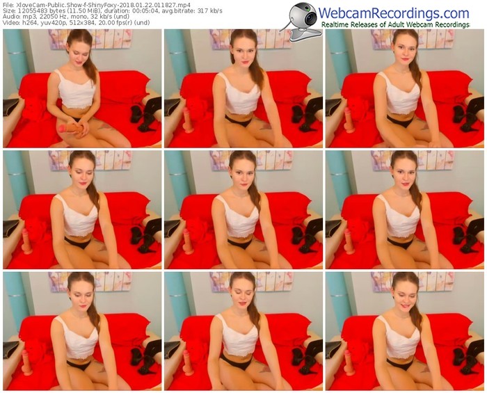 xlovecam-shinyfoxy-webcam-show-01_22_2018-01_18_27