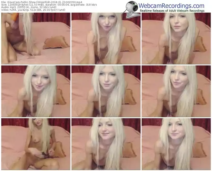 xlovecam-moonfish-webcam-show-01_23_2018-00_23_50