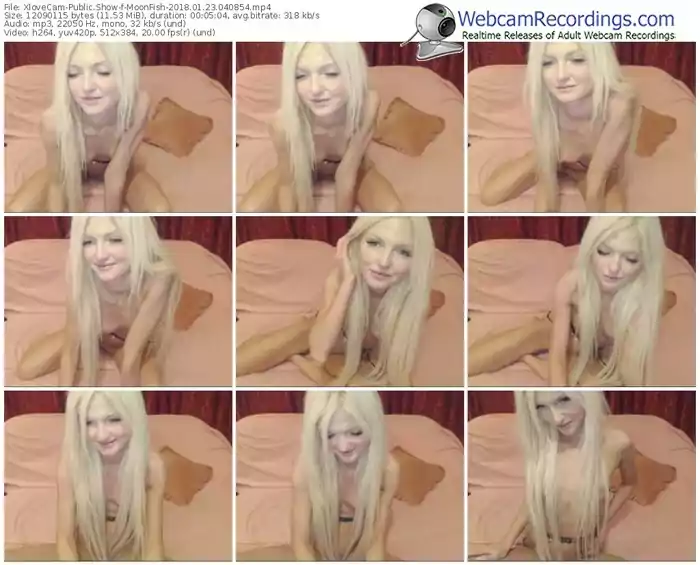 xlovecam-moonfish-webcam-show-01_23_2018-04_08_54