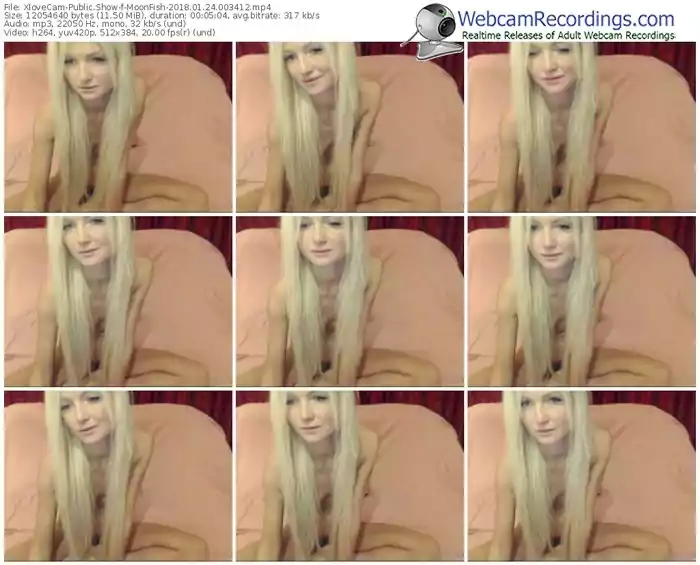 xlovecam-moonfish-webcam-show-01_24_2018-00_34_12