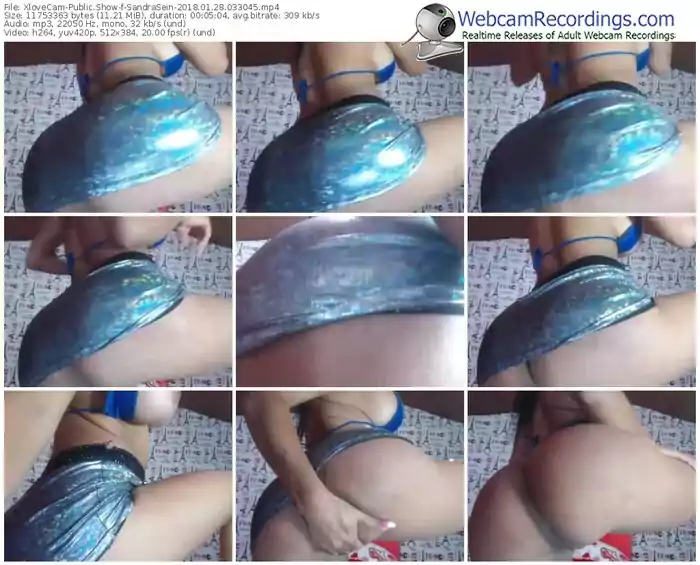xlovecam-sandrasein-webcam-show-01_28_2018-03_30_45