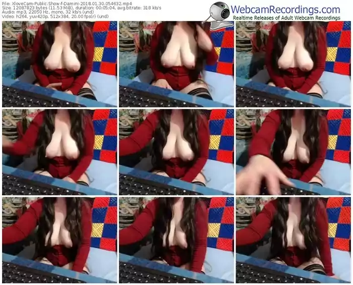 xlovecam-damini-webcam-show-01_30_2018-05_46_32