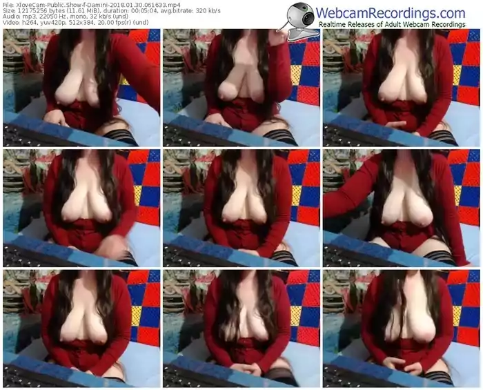xlovecam-damini-webcam-show-01_30_2018-06_16_33
