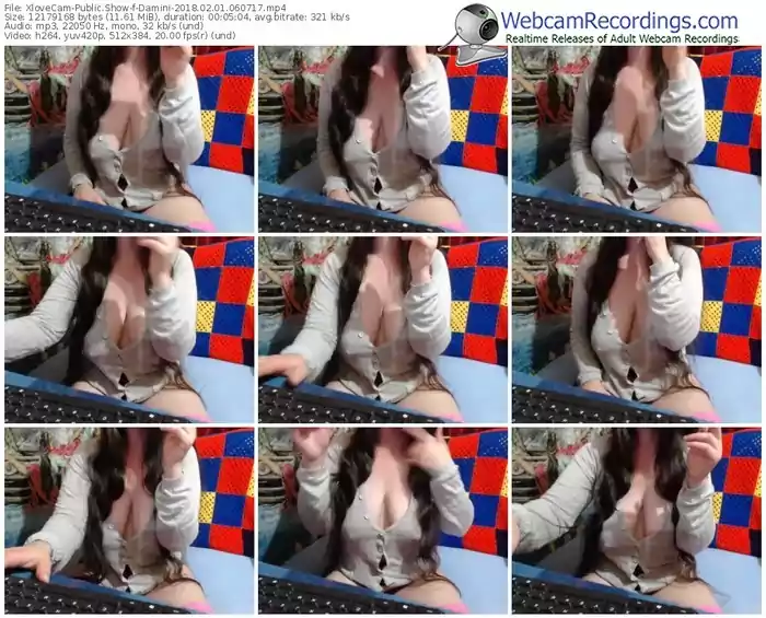 xlovecam-damini-webcam-show-02_01_2018-06_07_17