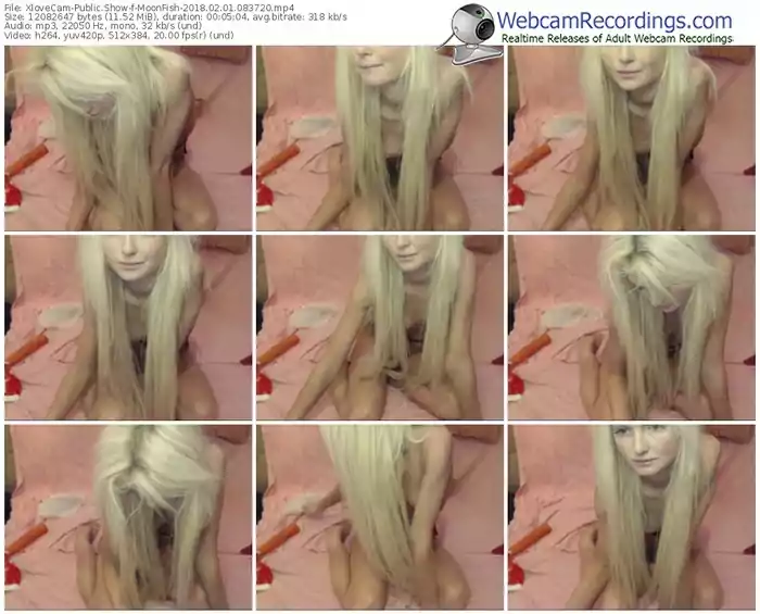 xlovecam-moonfish-webcam-show-02_01_2018-08_37_20