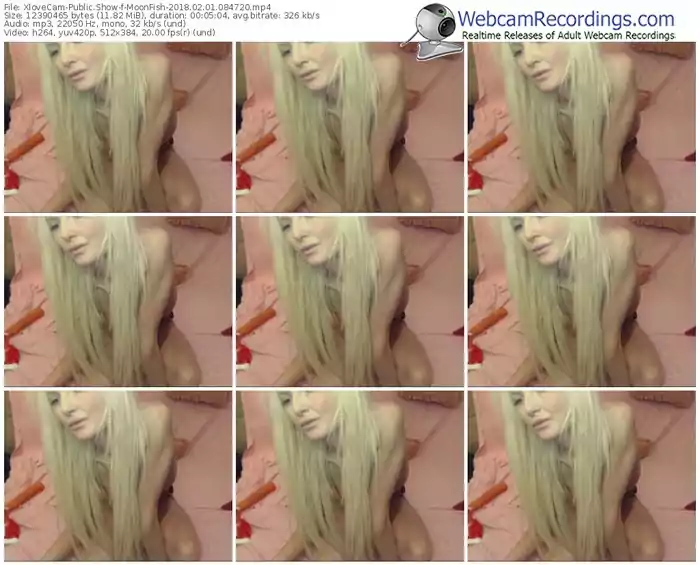 xlovecam-moonfish-webcam-show-02_01_2018-08_47_20