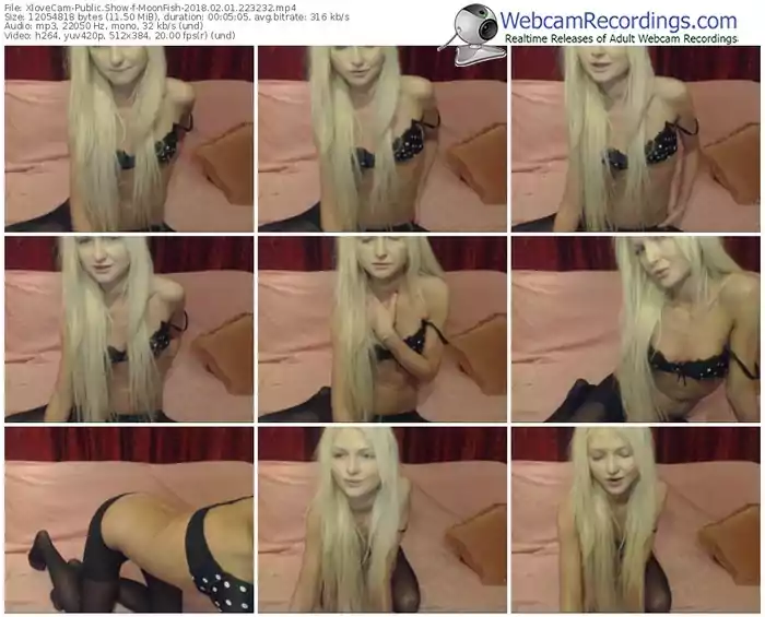 xlovecam-moonfish-webcam-show-02_01_2018-22_32_32