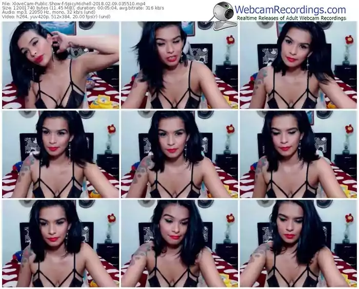 xlovecam-spicymichell-webcam-show-02_09_2018-03_55_10
