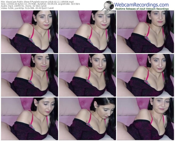 xlovecam-purplescorpion-webcam-show-02_11_2018-19_56_06