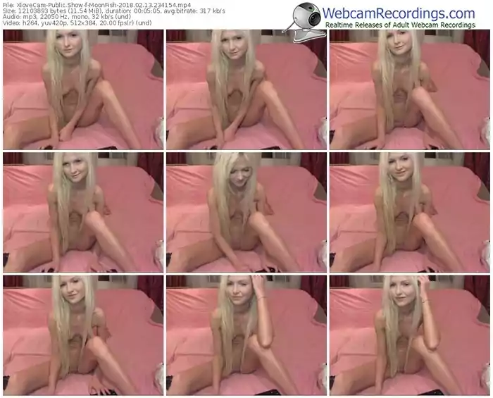 xlovecam-moonfish-webcam-show-02_13_2018-23_41_54