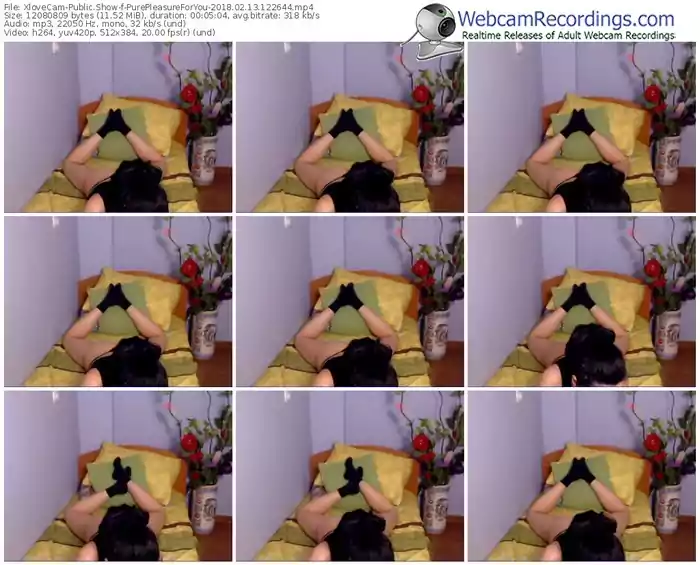xlovecam-purepleasureforyou-webcam-show-02_13_2018-12_26_44