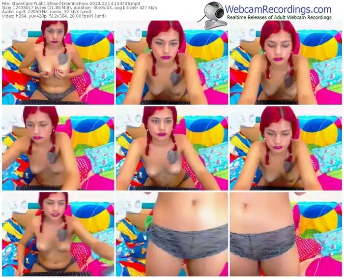 xlovecam-dominicfoxx-webcam-show-02_14_2018-15_47_08