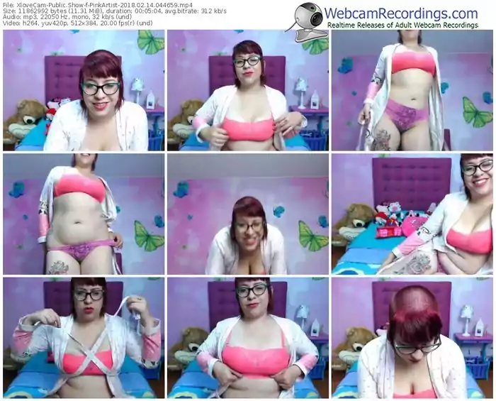 xlovecam-pinkartist-webcam-show-02_14_2018-04_46_59
