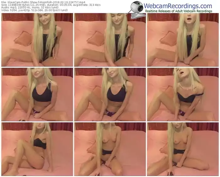 xlovecam-moonfish-webcam-show-02_16_2018-22_47_57