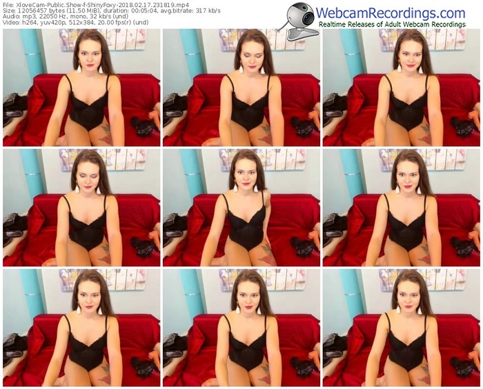 xlovecam-shinyfoxy-webcam-show-02_17_2018-23_18_19