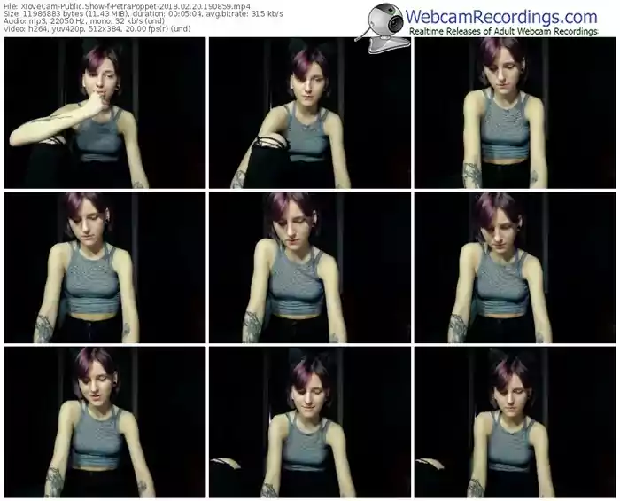 xlovecam-petrapoppet-webcam-show-02_20_2018-19_08_59