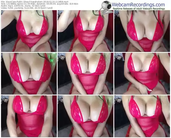 xlovecam-sandrasein-webcam-show-02_20_2018-11_28_58