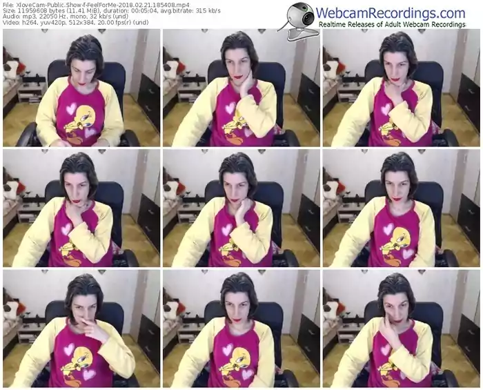 xlovecam-feelforme-webcam-show-02_21_2018-18_54_08