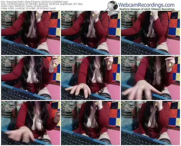xlovecam-damini-webcam-show-03_13_2018-04_56_09