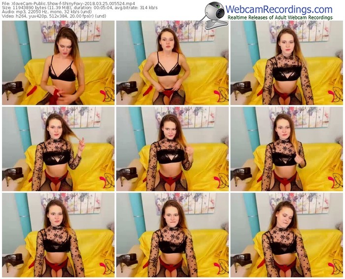 xlovecam-shinyfoxy-webcam-show-03_25_2018-00_55_24