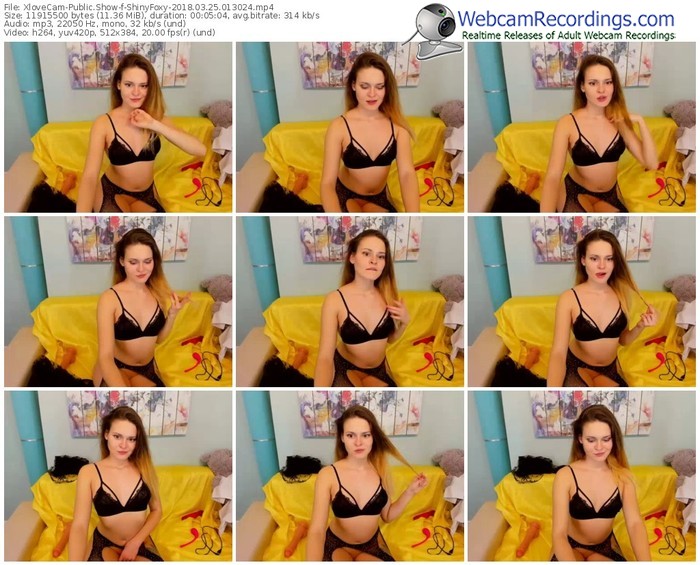 xlovecam-shinyfoxy-webcam-show-03_25_2018-01_30_24